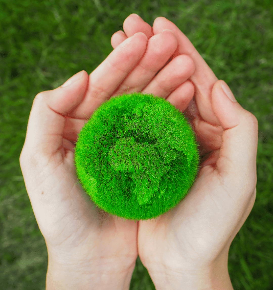 Medioambiente